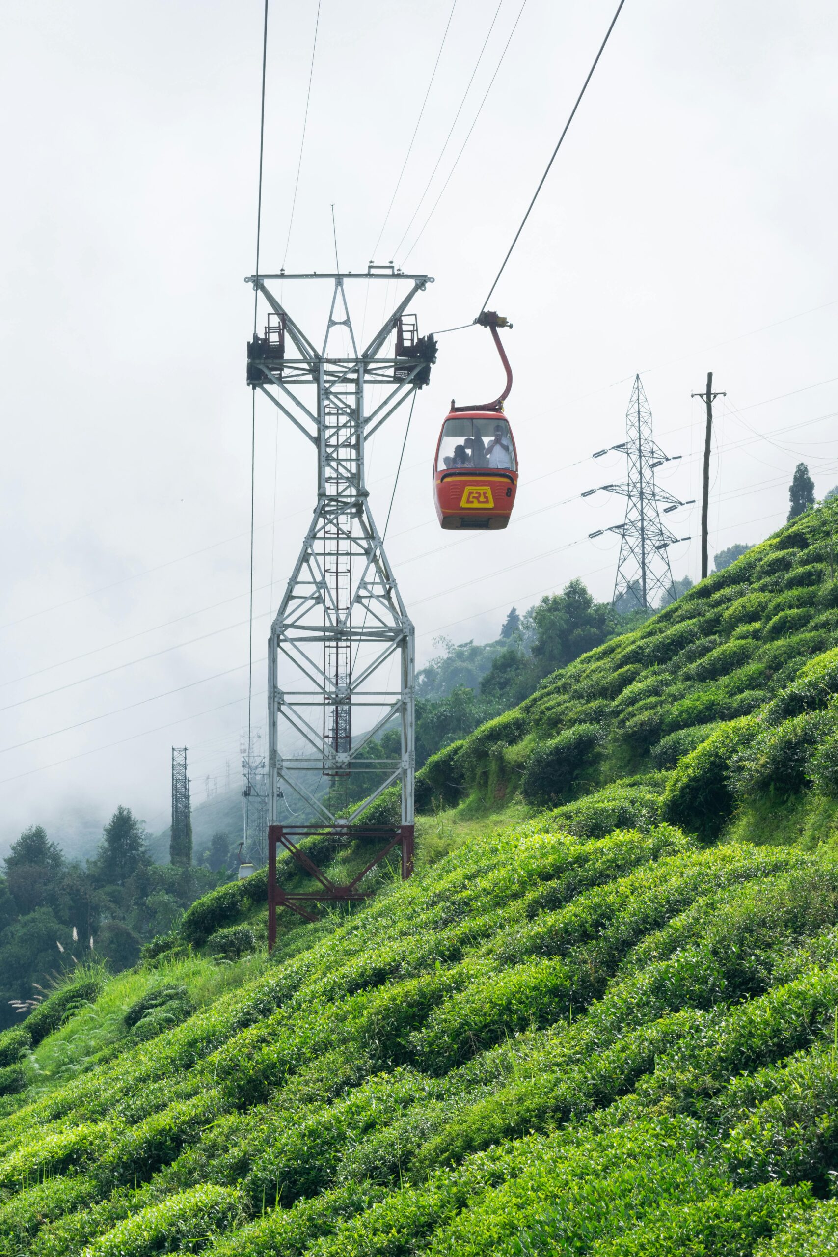 darjeeling scenic view