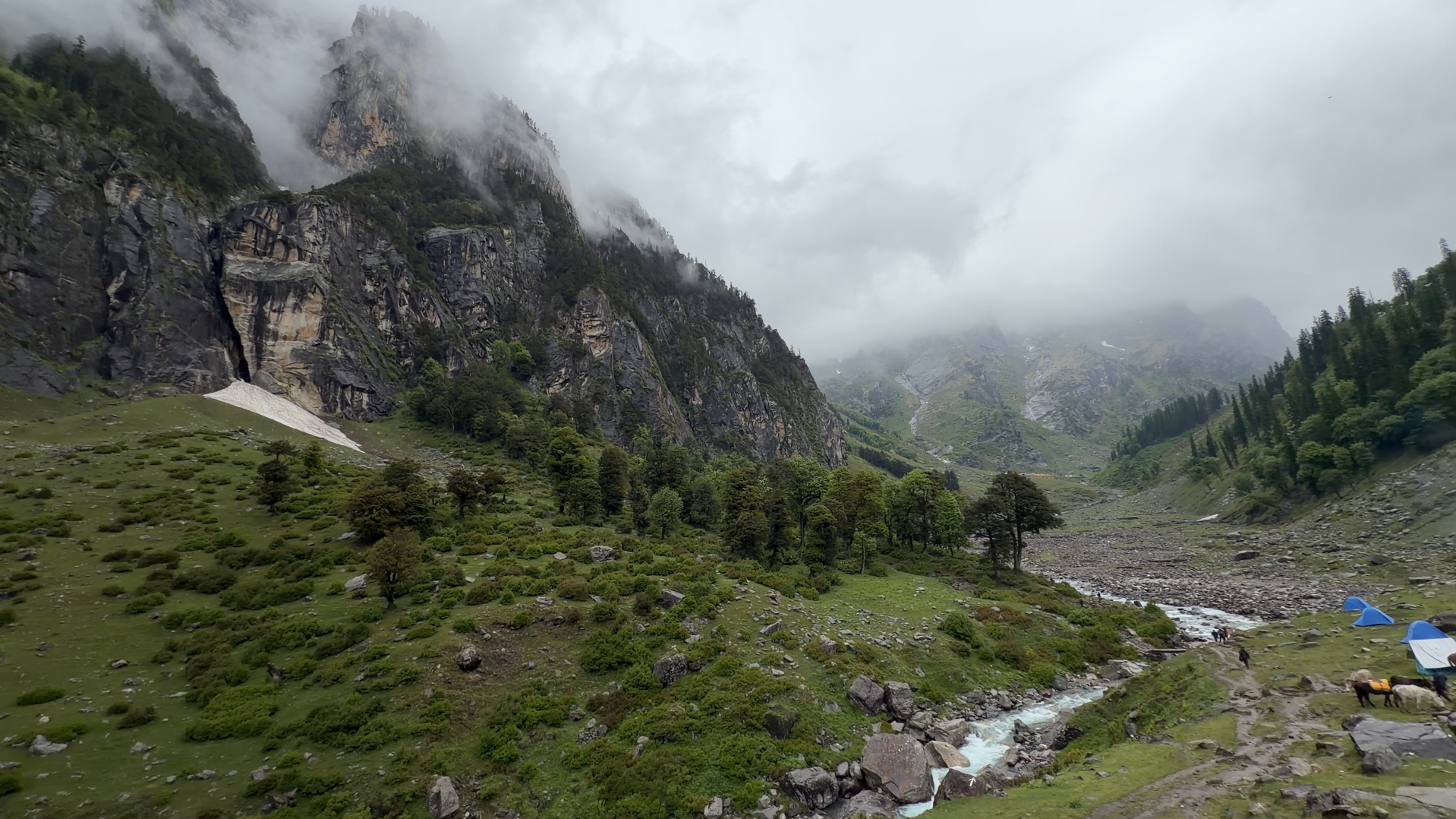 lush green forest and misty mountains from Hampta Pass Trek 2026 & Chandratal