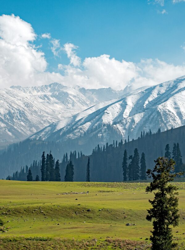 Jammu & Kashmir Scenic View