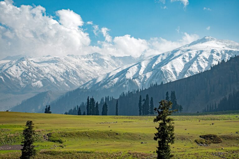 Jammu & Kashmir Scenic View