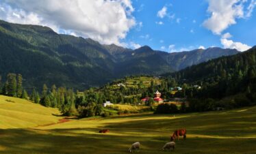 Himachal Pradesh Scenic View
