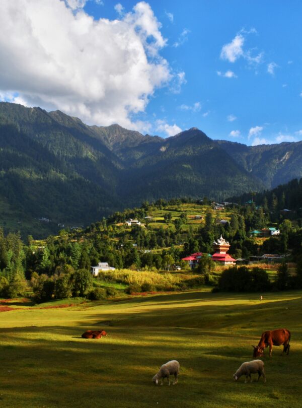 Himachal Pradesh Scenic View