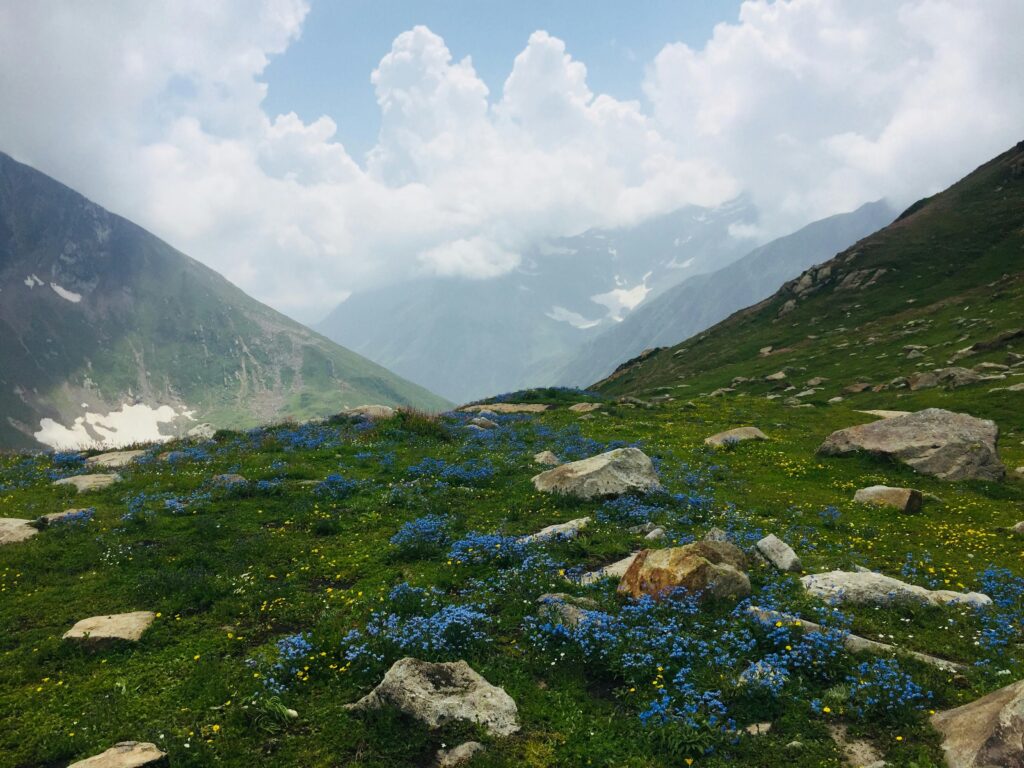 Dayara Bugyal Trek 1