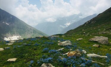 Dayara Bugyal Trek 1