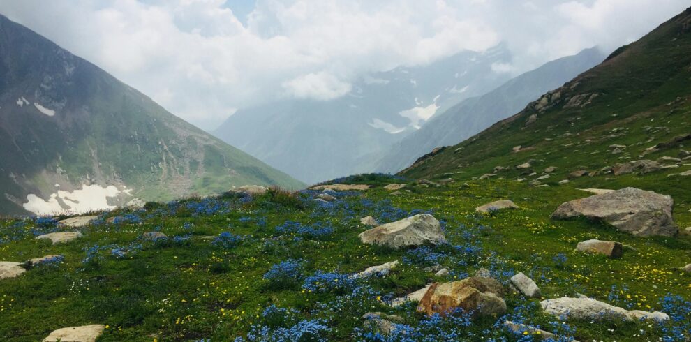 Dayara Bugyal Trek 1