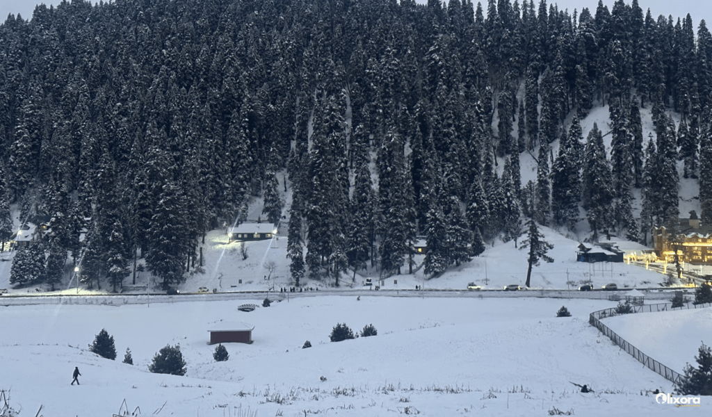 Enjoying a winter ski in India