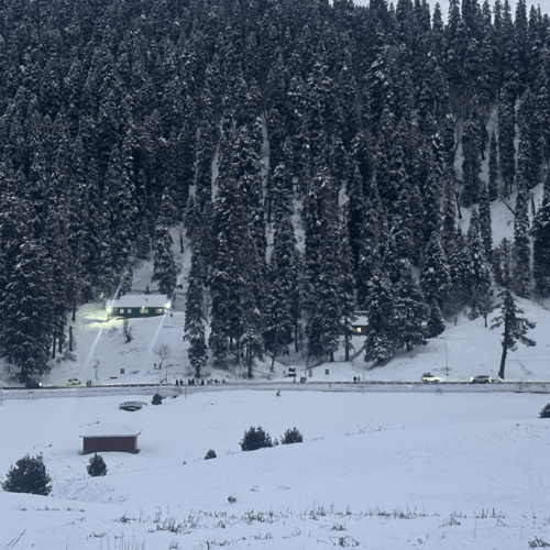 Enjoying a winter ski in India
