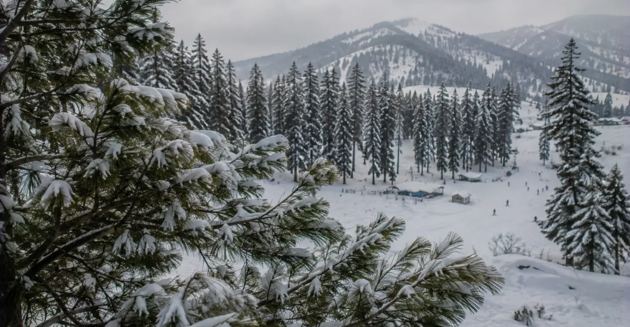 Gulmarg Skiing in December vs. Jan vs. Feb: Snow Guide