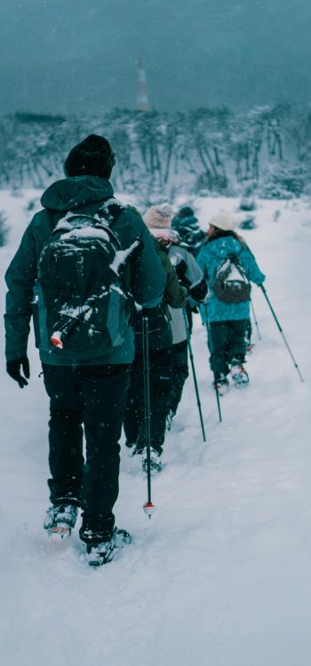 pexels-rois-martin-13387723-6263442